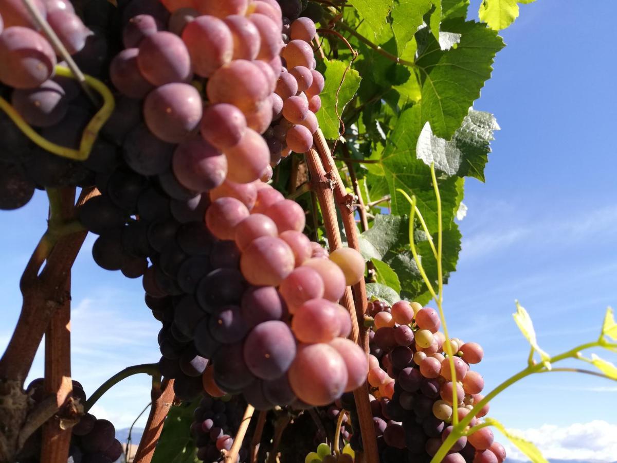 Apartamento Ansitz Grustdorf Appiano Sulla Strada Del Vino Exterior foto