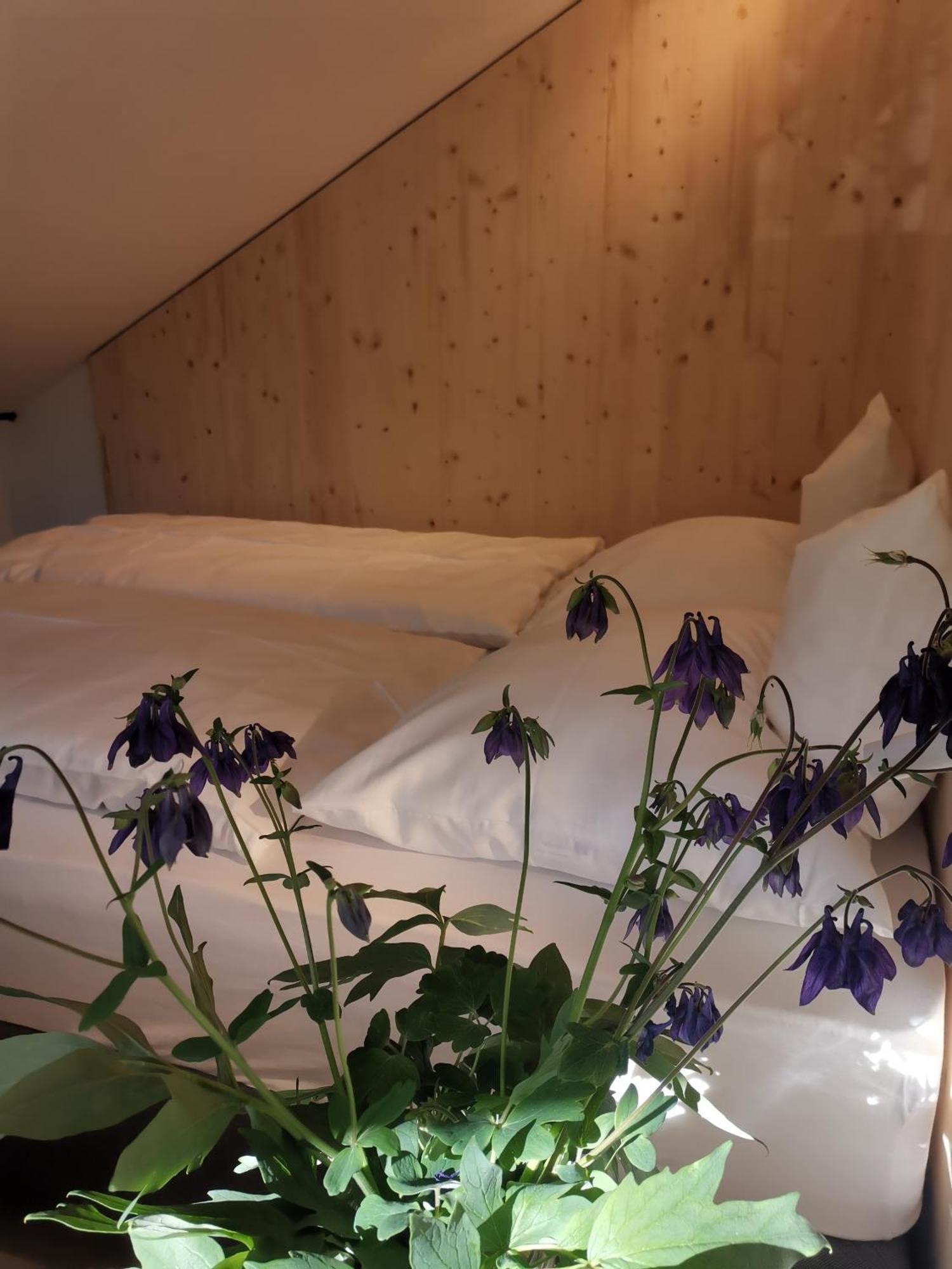 Apartamento Ansitz Grustdorf Appiano Sulla Strada Del Vino Exterior foto